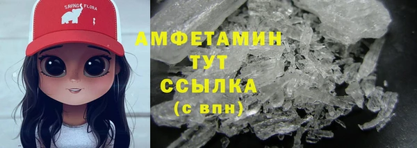 ECSTASY Богданович
