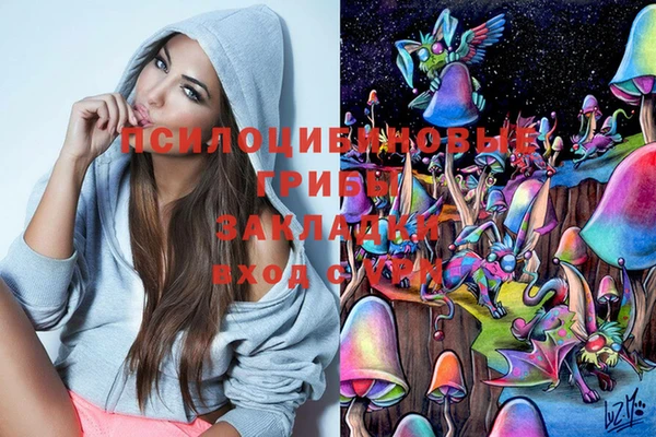 ECSTASY Богданович