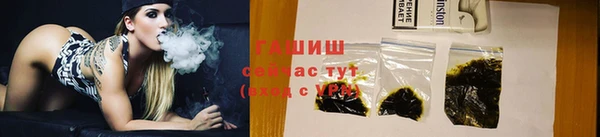 ECSTASY Богданович