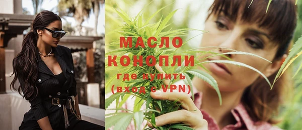 ECSTASY Богданович