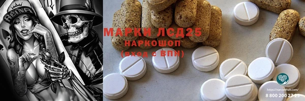 ECSTASY Богданович