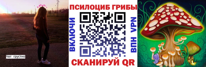 Псилоцибиновые грибы мицелий  Всеволожск 