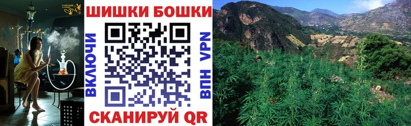Каннабис сатива Всеволожск